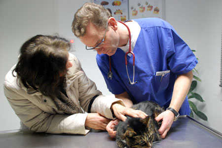 Dr. med. vet. Stephan Schubert - Facharzt für Kleintiere - Öffnungszeiten, Sprechzeiten unserer Tierarztpraxis in der Barmer Straße Remscheid
